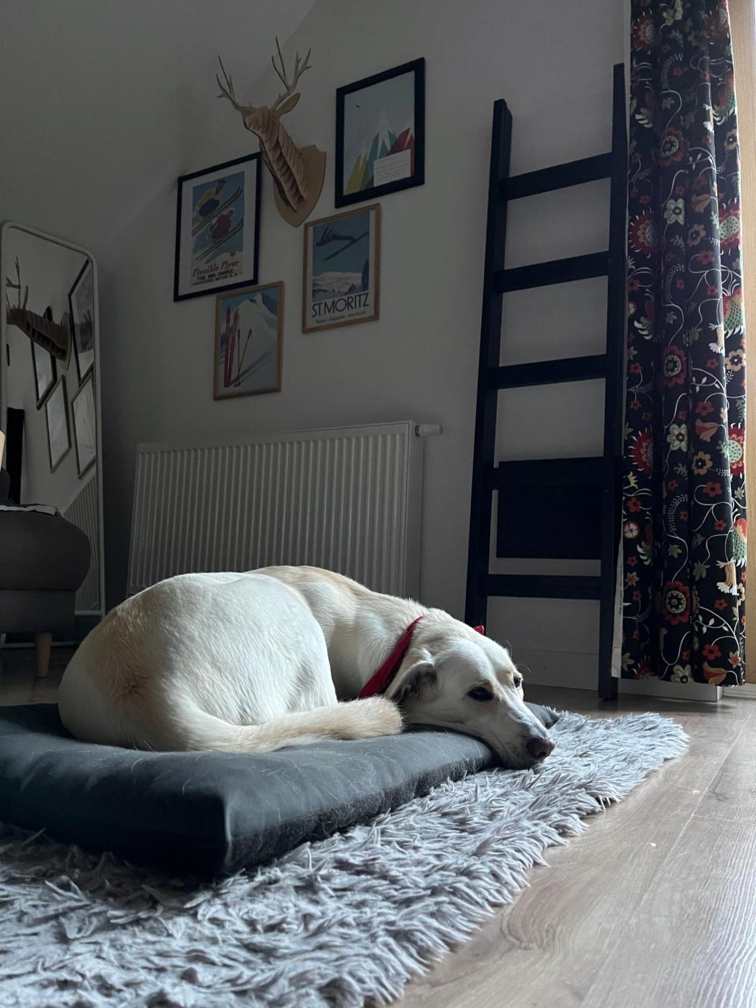 Apartament Folkowe Podgorze シクラルスカ・ポレンバ エクステリア 写真